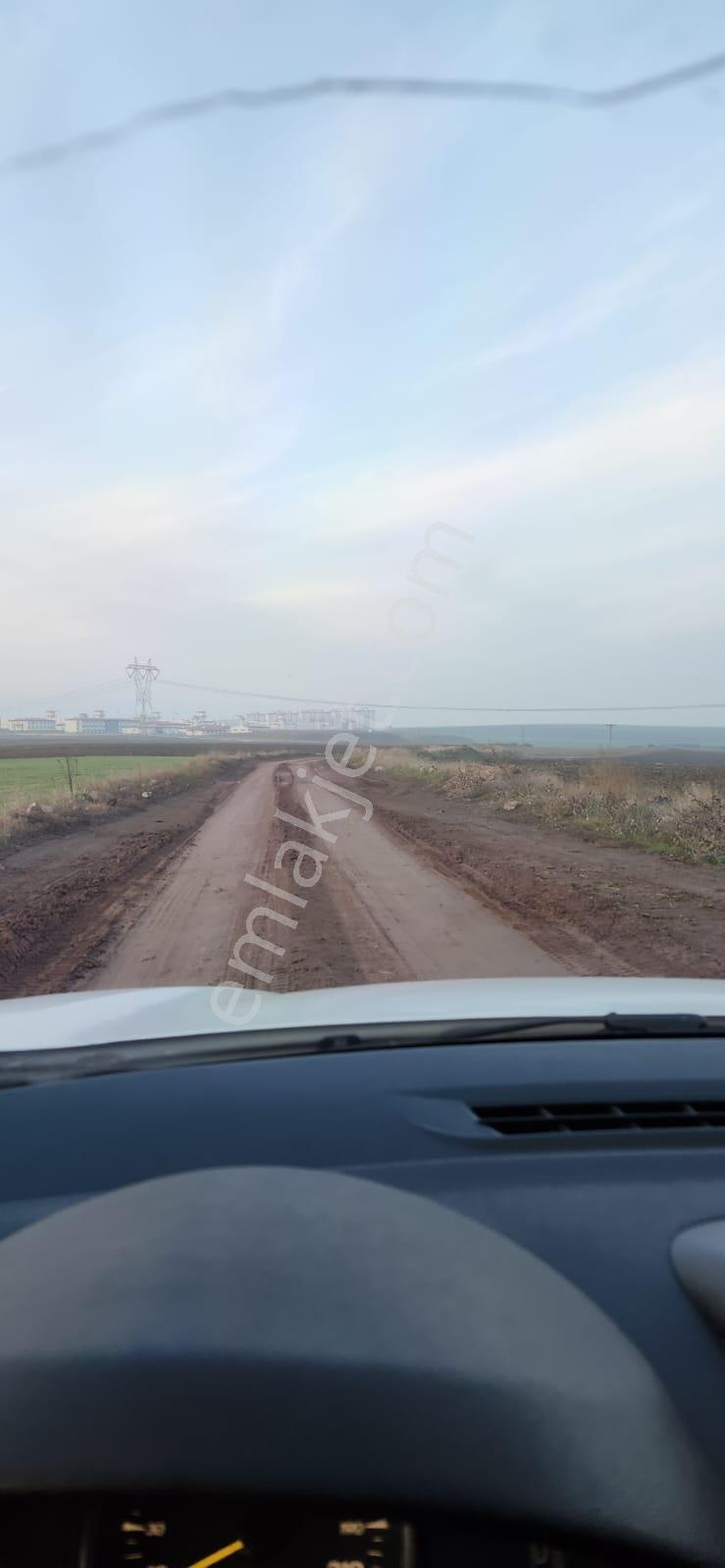 Tekirdağ Çorlu Hatipte Kaçırılmayacak Fırsat Tarla — fotoğraf 18