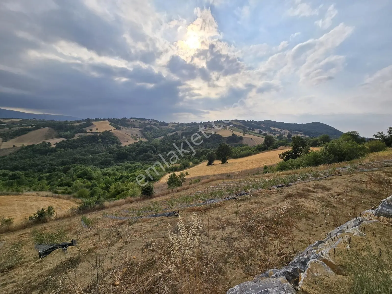 Altınova Karadere Köyü Cindere Mevki Satılık 5.021m2 Tarla — fotoğraf 2