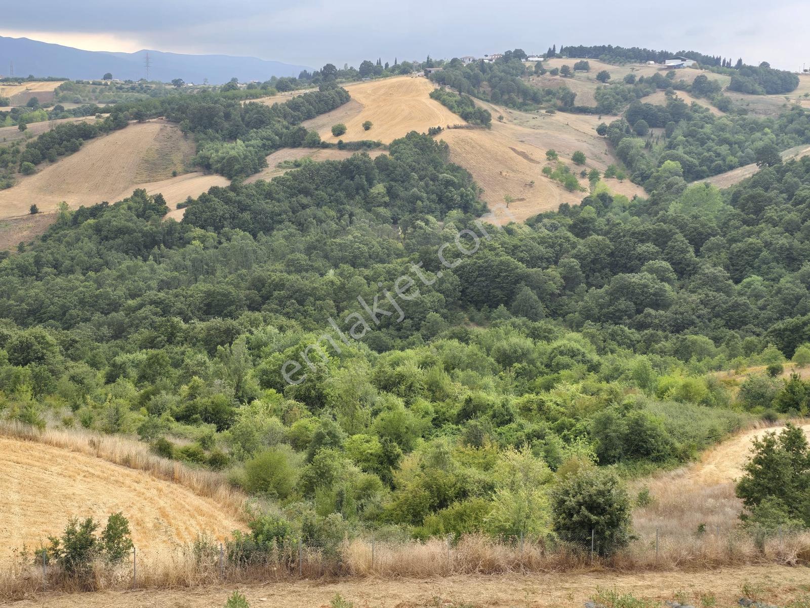 Altınova Karadere Köyü Cindere Mevki Satılık 5.021m2 Tarla — fotoğraf 10