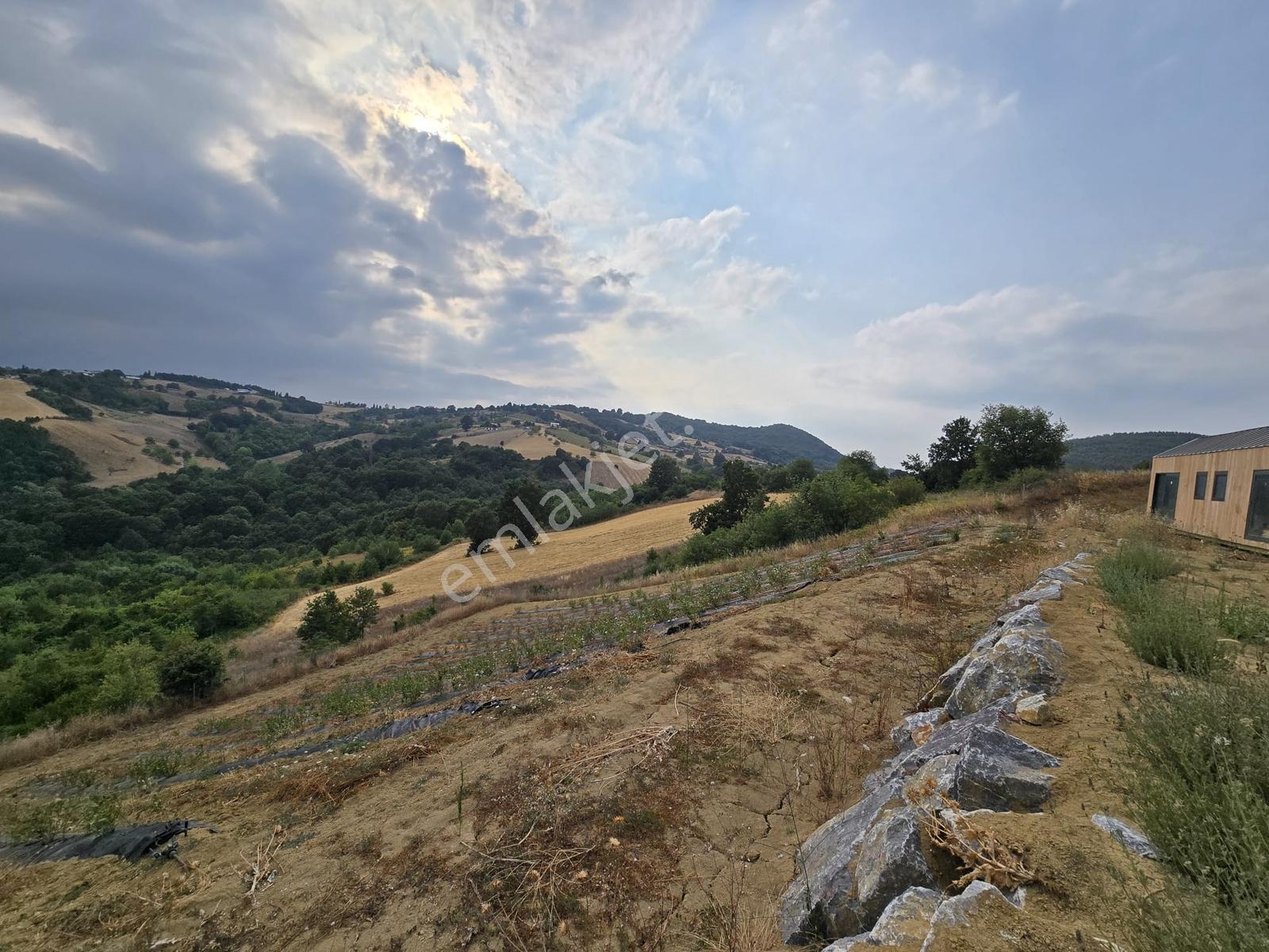 Altınova Karadere Köyü Cindere Mevki Satılık 5.021m2 Tarla — fotoğraf 12