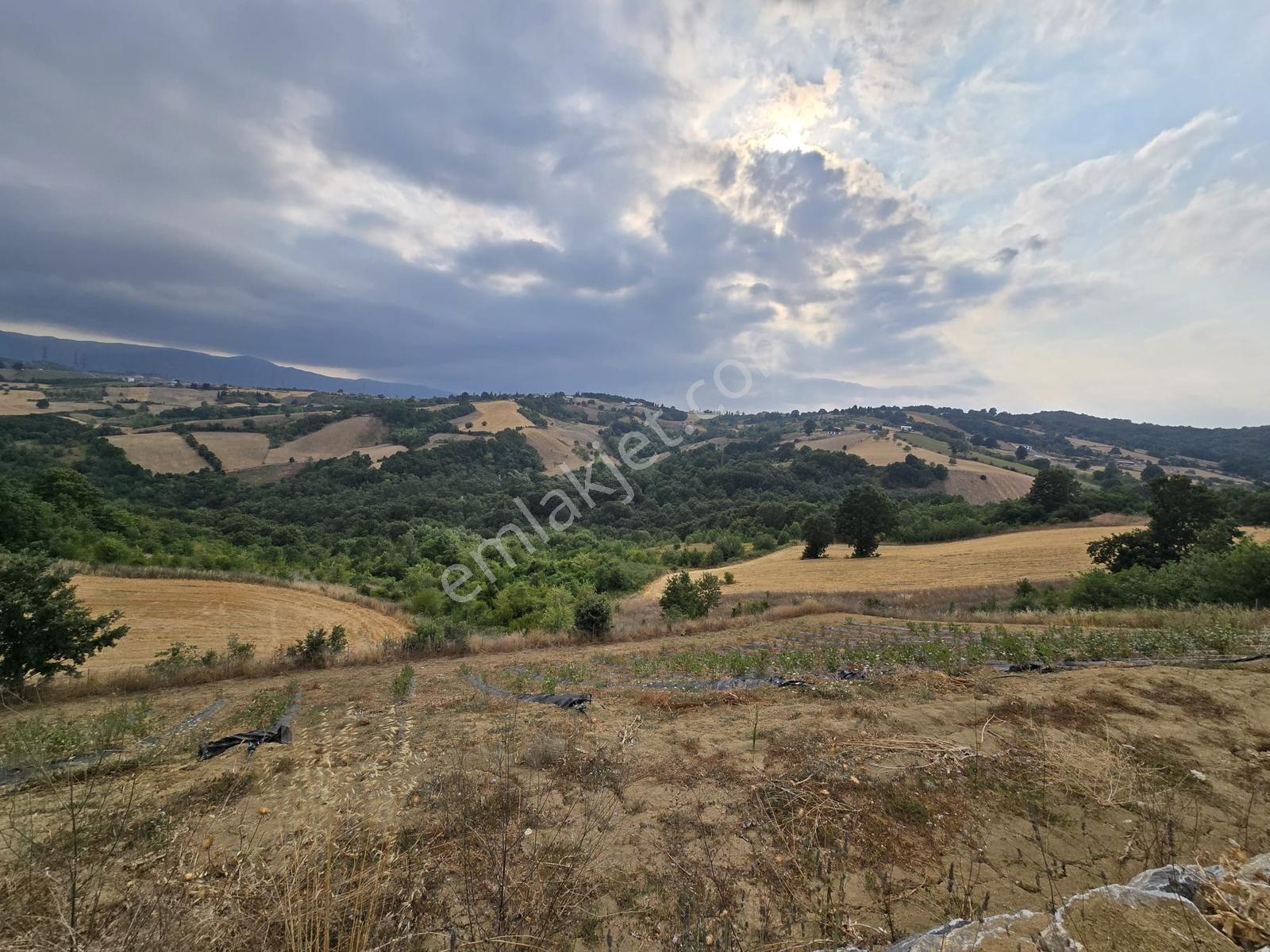 Altınova Karadere Köyü Cindere Mevki Satılık 5.021m2 Tarla — fotoğraf 13