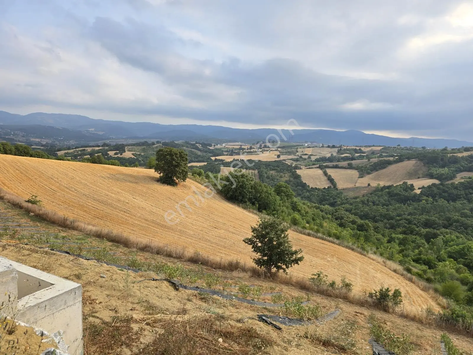 Altınova Karadere Köyü Cindere Mevki Satılık 5.021m2 Tarla — fotoğraf 14