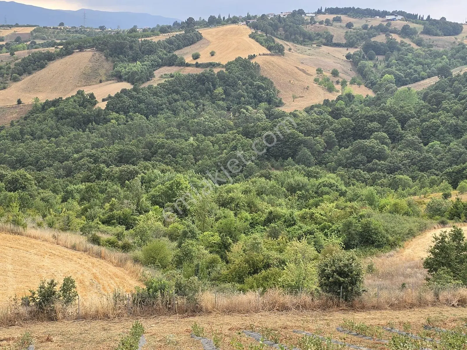 Altınova Karadere Köyü Cindere Mevki Satılık 5.021m2 Tarla — fotoğraf 15