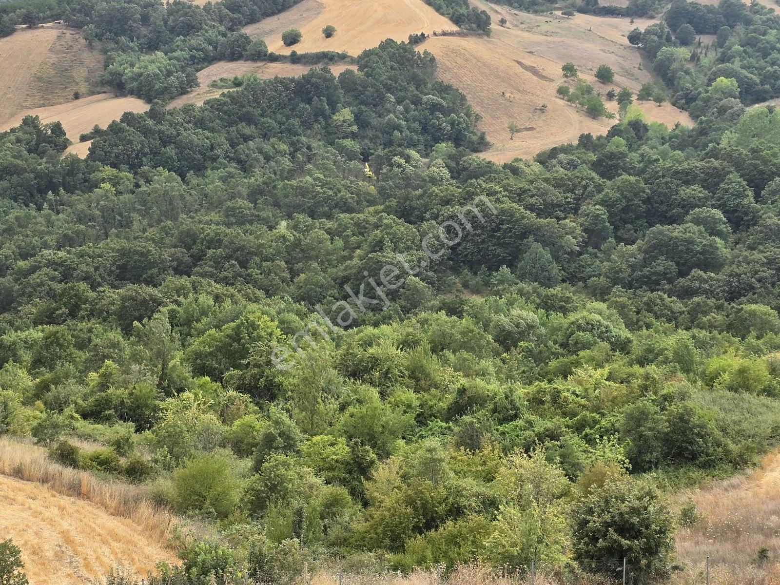 Altınova Karadere Köyü Cindere Mevki Satılık 5.021m2 Tarla — fotoğraf 17