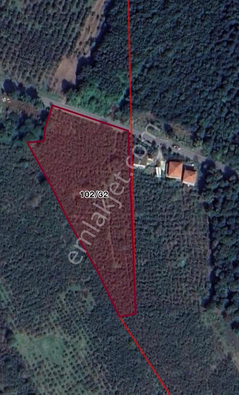 Remax Design Kaynarca Birlik Mahallesinde Satılık Tarla