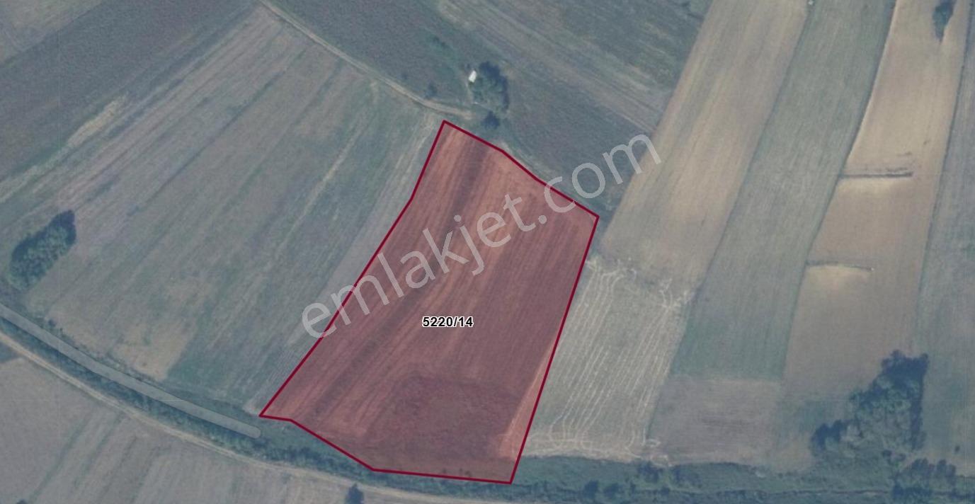 Adapazarı Karaderede 17473m2kuzey Aksında Verimli Değerli Tarla — fotoğraf 3