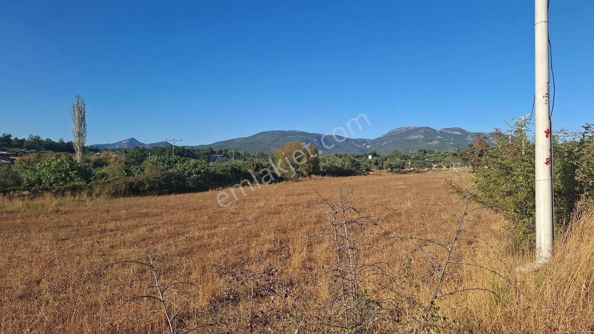 Buca Karacaağaç Mahallesi'nde 6450 M² Satılık Zeytinli Tarla