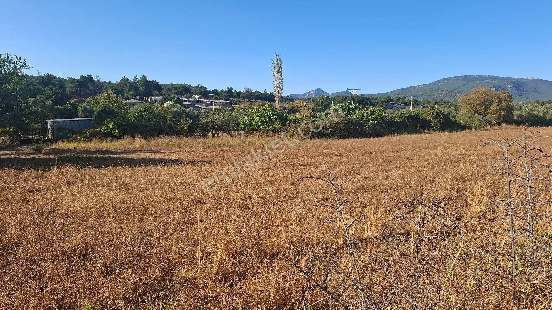Buca Karacaağaç Mahallesi'nde 6450 M² Satılık Zeytinli Tarla — fotoğraf 2
