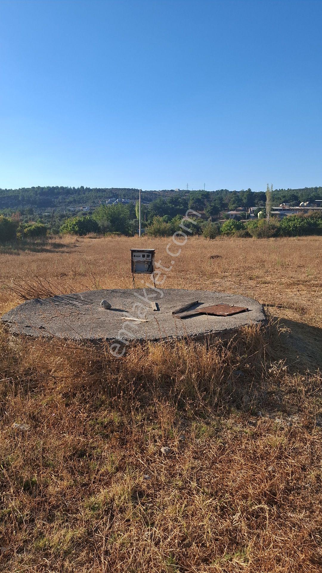 Buca Karacaağaç Mahallesi'nde 6450 M² Satılık Zeytinli Tarla — fotoğraf 7