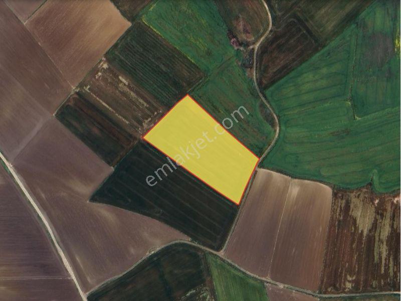 Çatalca'da, Muratbey Mahallesinde Fırsat Yatırımlık Tarla!