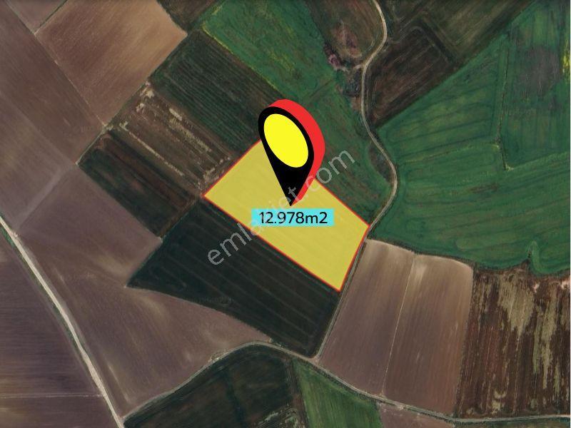 Çatalca'da, Muratbey Mahallesinde Fırsat Yatırımlık Tarla! — fotoğraf 2