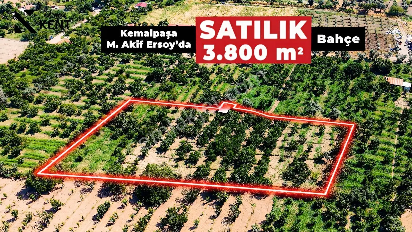 Kemalpaşa Mehmet Akif Mah Satılık Yaklaşık 4 Dönüm Kiraz Bahçesi