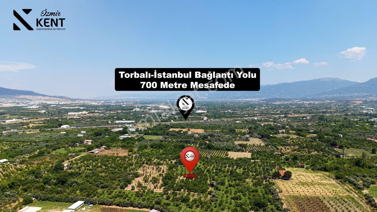 Kemalpaşa Mehmet Akif Mah Satılık Yaklaşık 4 Dönüm Kiraz Bahçesi — fotoğraf 10