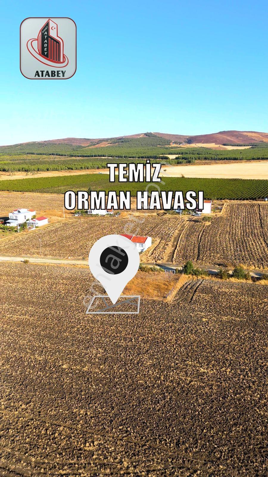 Atabey Gayrimenkulden Şarköy Satılık Arsa — fotoğraf 3