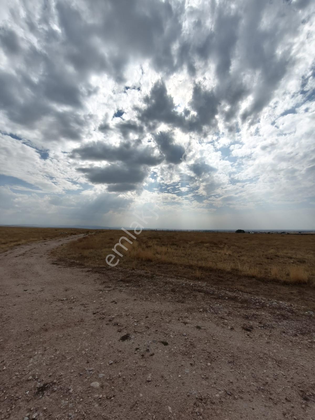 Niğde Bor Kemerhisar Çayır Satılık Ticari Arsa — fotoğraf 7
