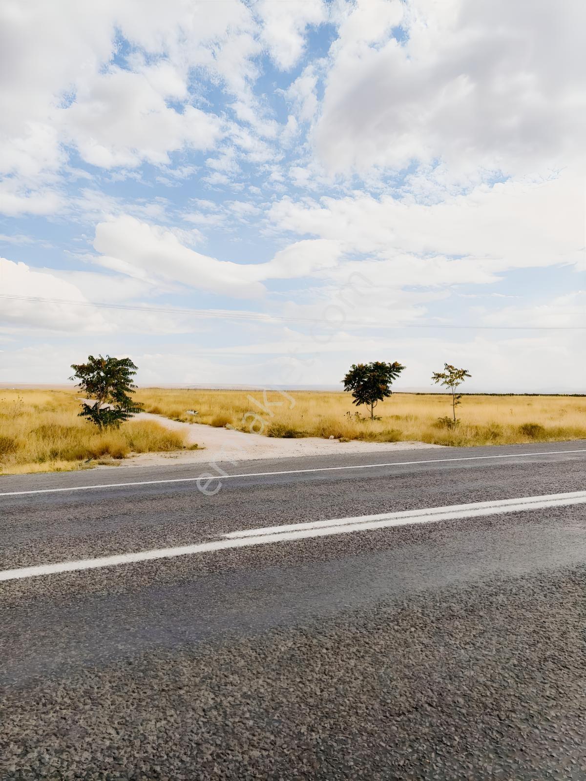 Niğde Bor Kemerhisar Çayır Satılık Ticari Arsa — fotoğraf 10