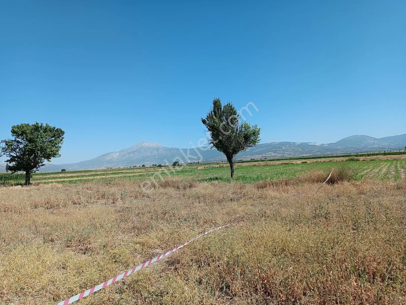 Acıpayam Yassıhöyükte Bölgenin En Uygun Fiyatlı Sulu Arazisi
