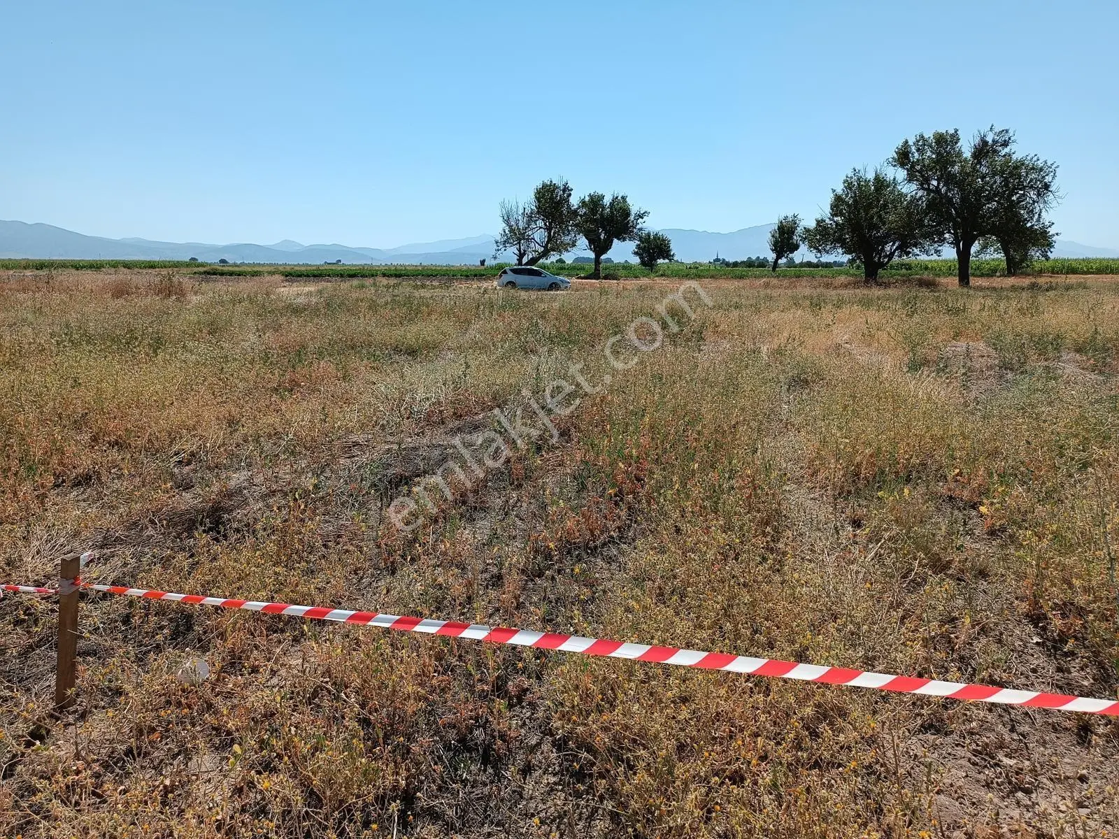 Acıpayam Yassıhöyükte Bölgenin En Uygun Fiyatlı Sulu Arazisi — fotoğraf 2