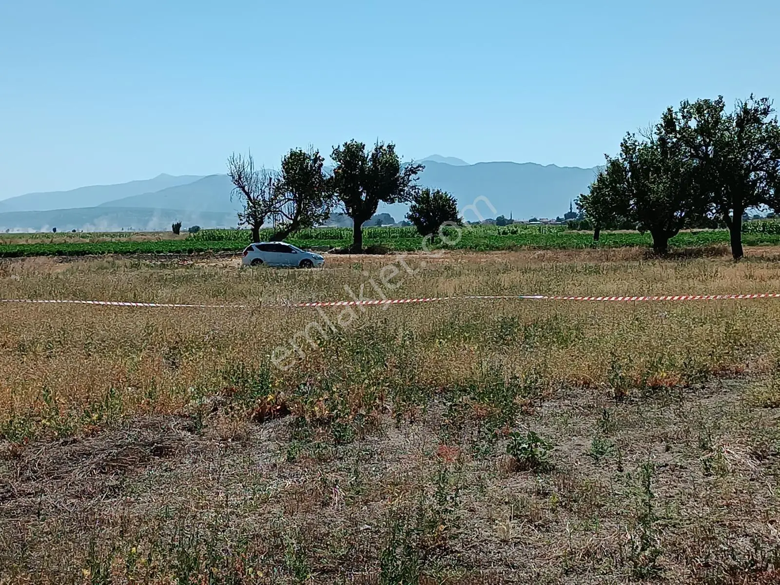 Acıpayam Yassıhöyükte Bölgenin En Uygun Fiyatlı Sulu Arazisi — fotoğraf 3