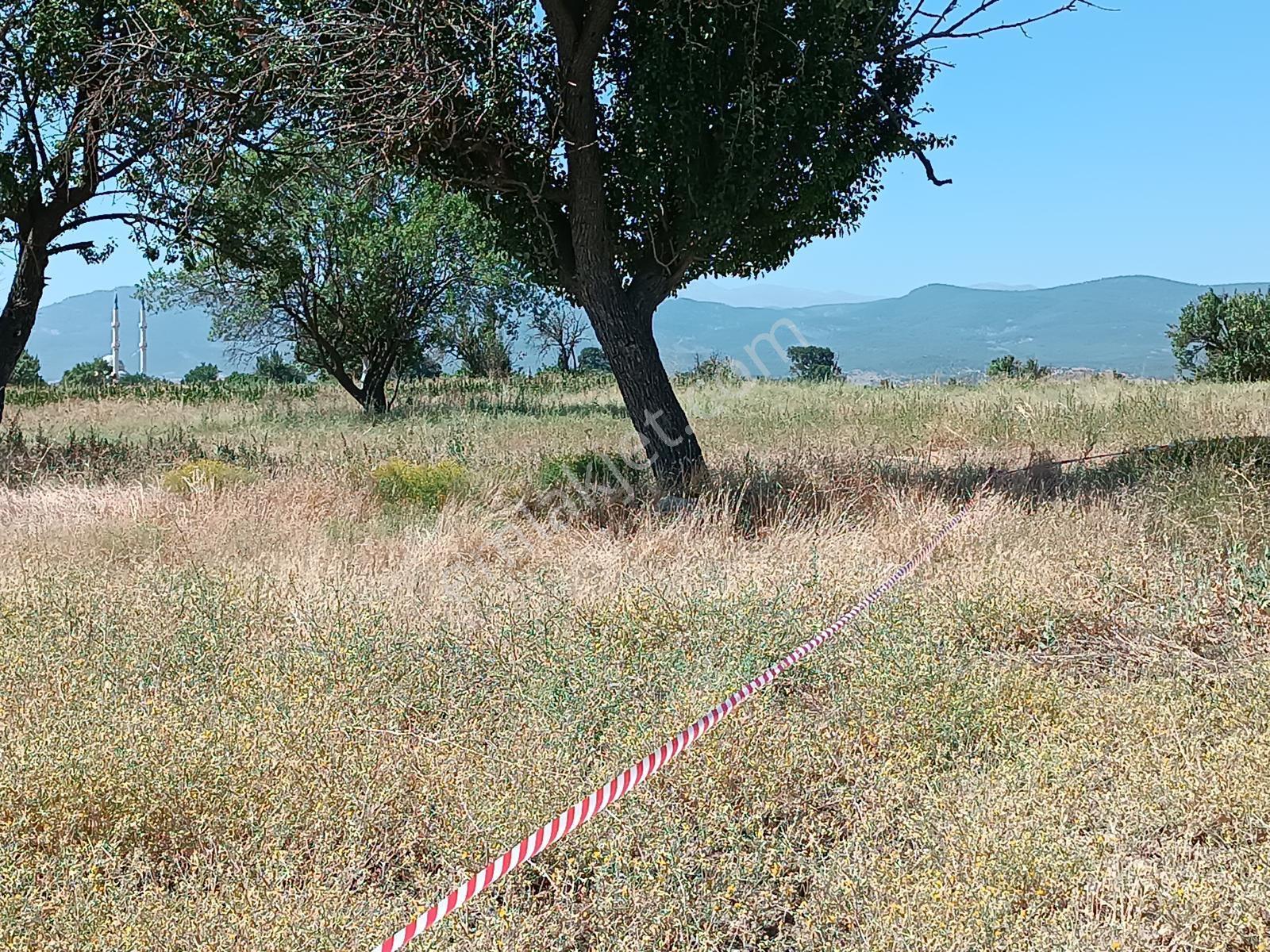 Acıpayam Yassıhöyükte Bölgenin En Uygun Fiyatlı Sulu Arazisi — fotoğraf 6