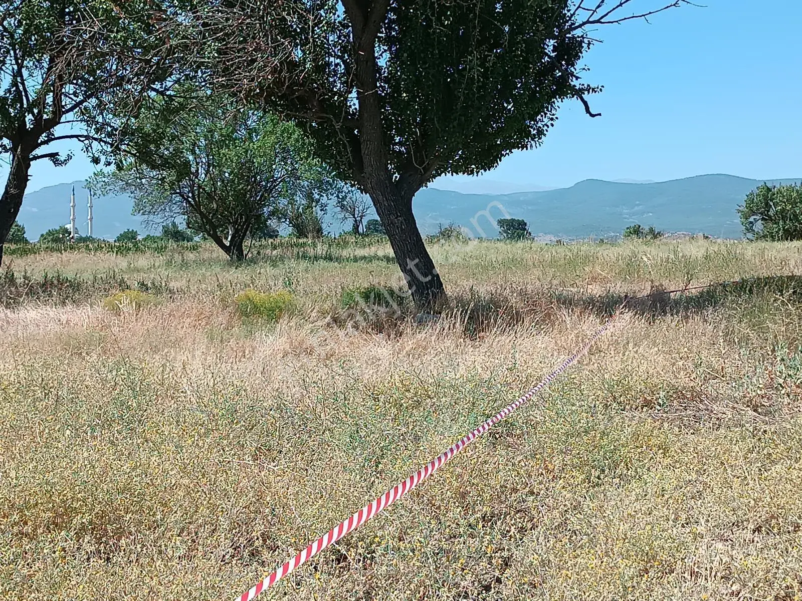Acıpayam Yassıhöyükte Bölgenin En Uygun Fiyatlı Sulu Arazisi — fotoğraf 8