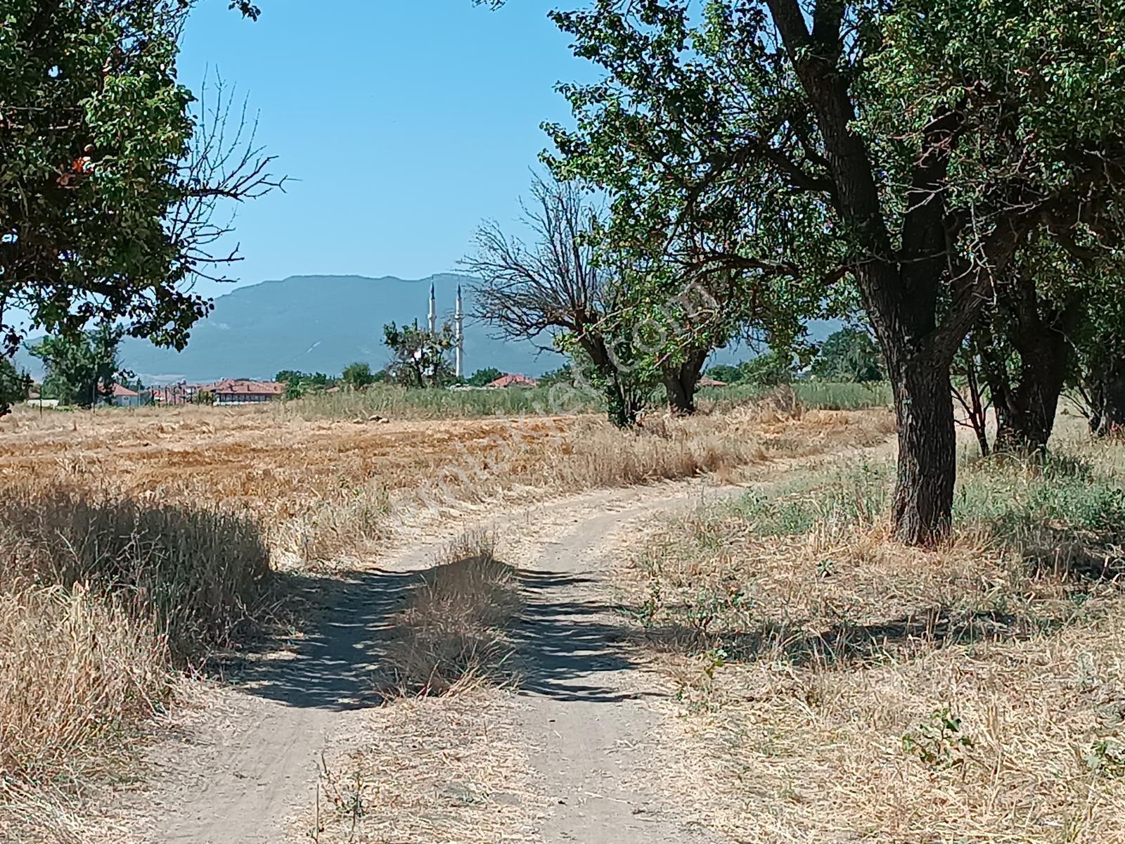 Acıpayam Yassıhöyükte Bölgenin En Uygun Fiyatlı Sulu Arazisi — fotoğraf 12