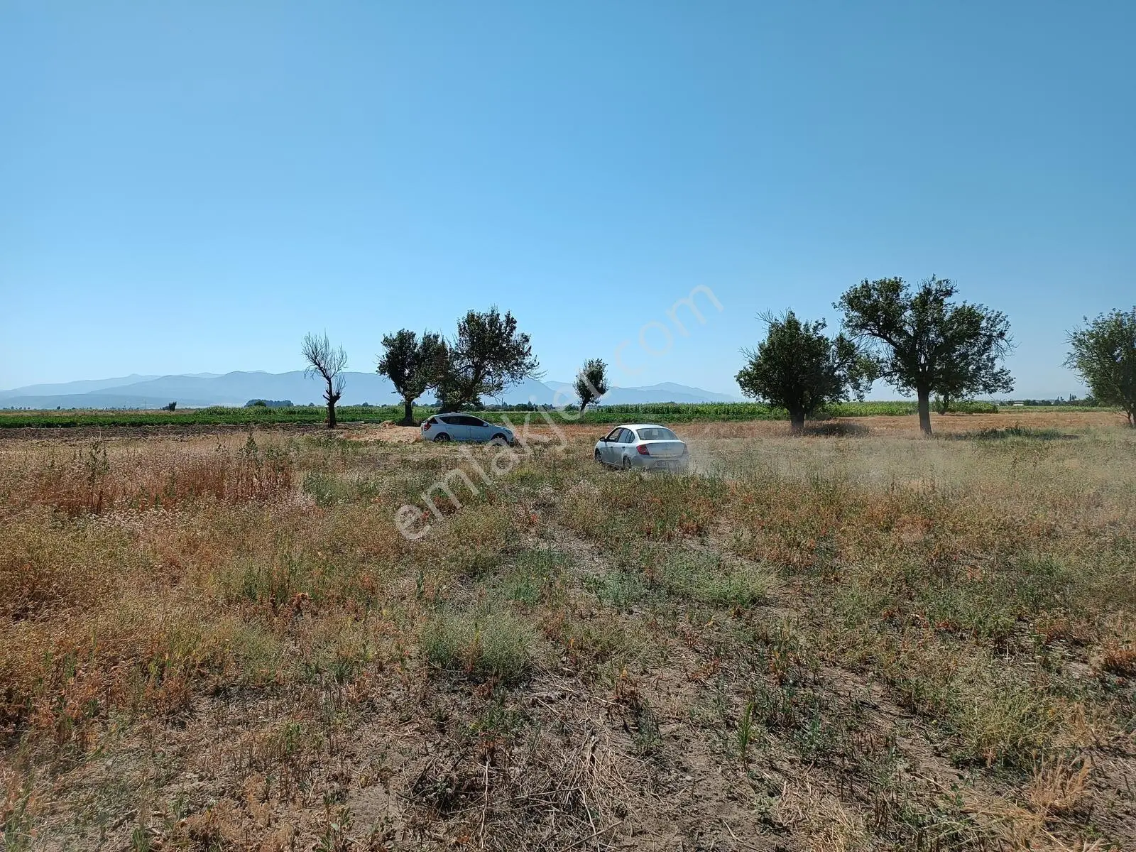 Acıpayam Yassıhöyükte Bölgenin En Uygun Fiyatlı Sulu Arazisi — fotoğraf 18