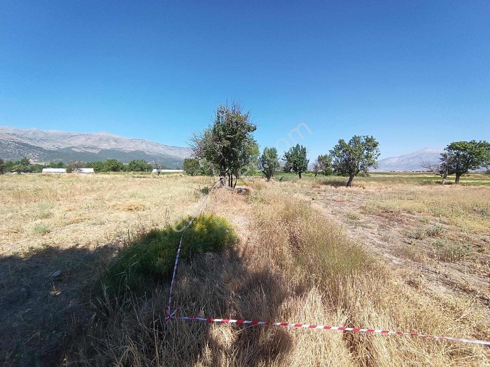 Acıpayam Yassıhöyükte Bölgenin En Uygun Fiyatlı Sulu Arazisi — fotoğraf 19