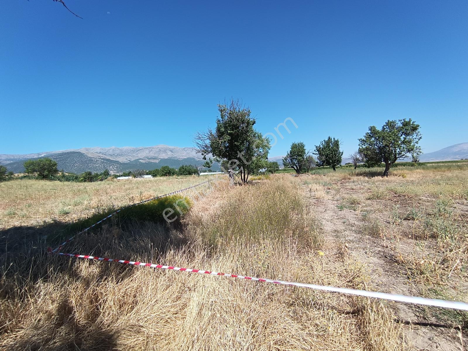 Acıpayam Yassıhöyükte Bölgenin En Uygun Fiyatlı Sulu Arazisi — fotoğraf 20