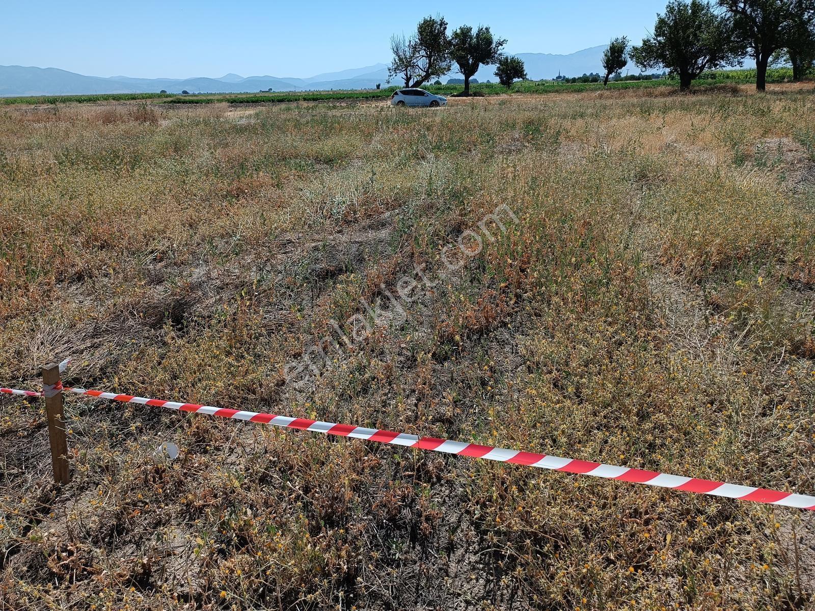 Acıpayam Yassıhöyükte Bölgenin En Uygun Fiyatlı Sulu Arazisi — fotoğraf 23