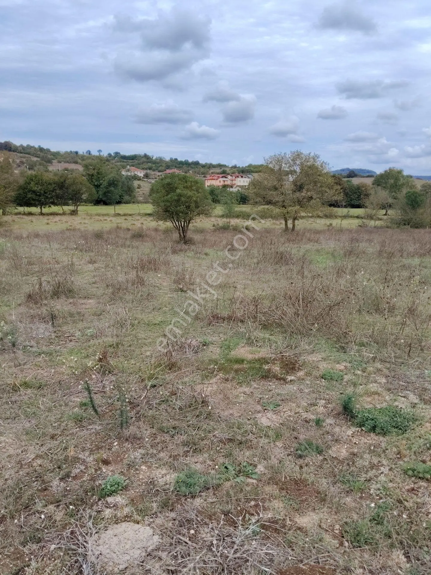Kandıra Akdurak Koyunda Satilik Tarla — fotoğraf 3