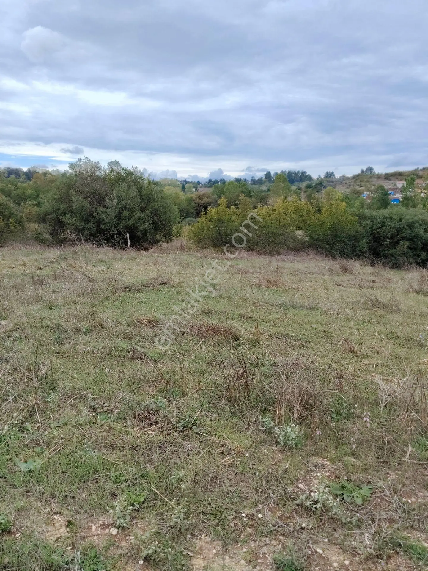 Kandıra Akdurak Koyunda Satilik Tarla — fotoğraf 7