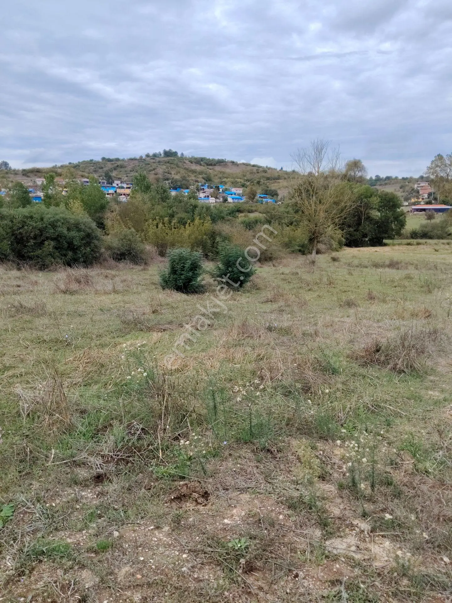 Kandıra Akdurak Koyunda Satilik Tarla — fotoğraf 8