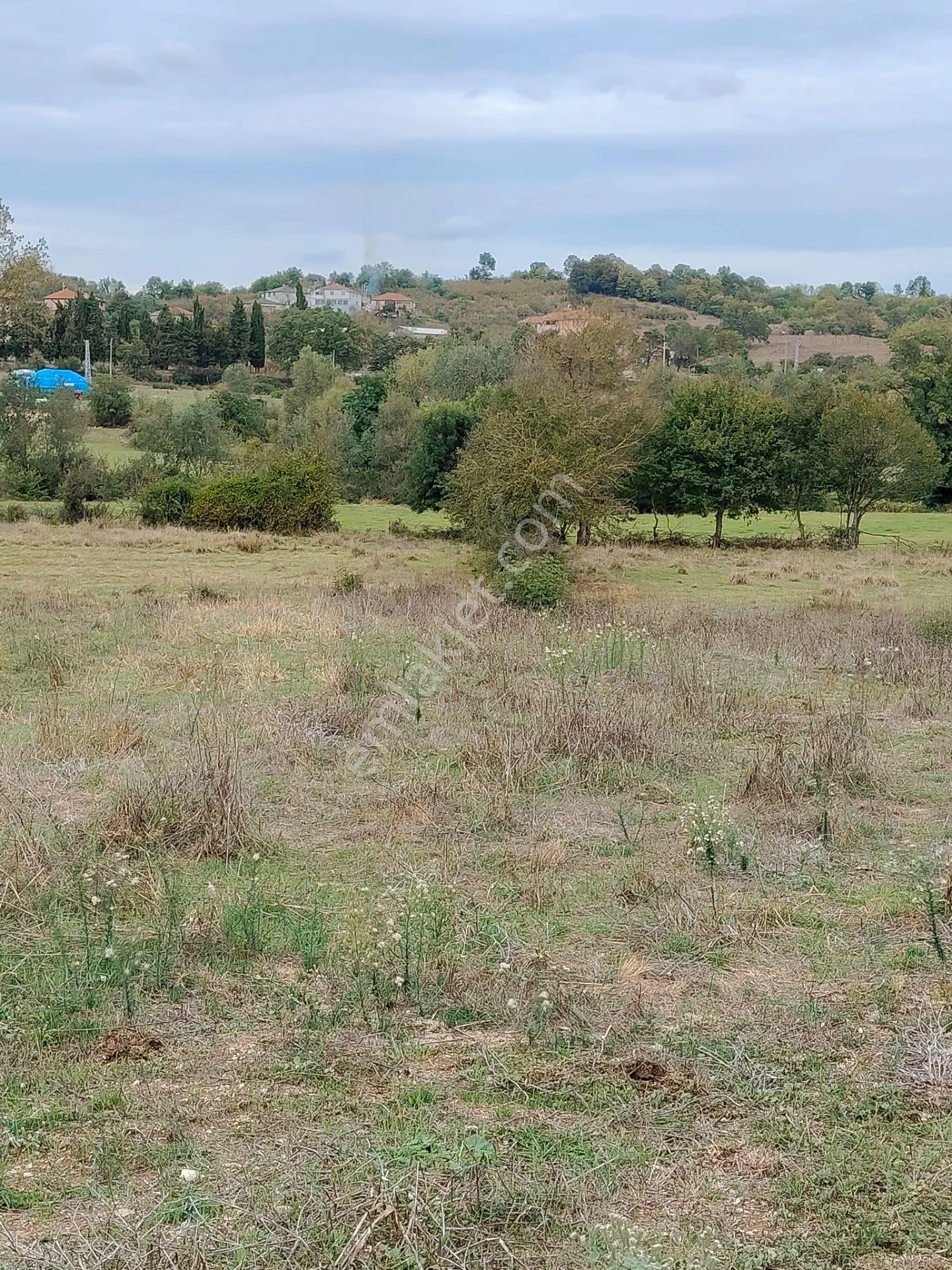 Kandıra Akdurak Koyunda Satilik Tarla — fotoğraf 10