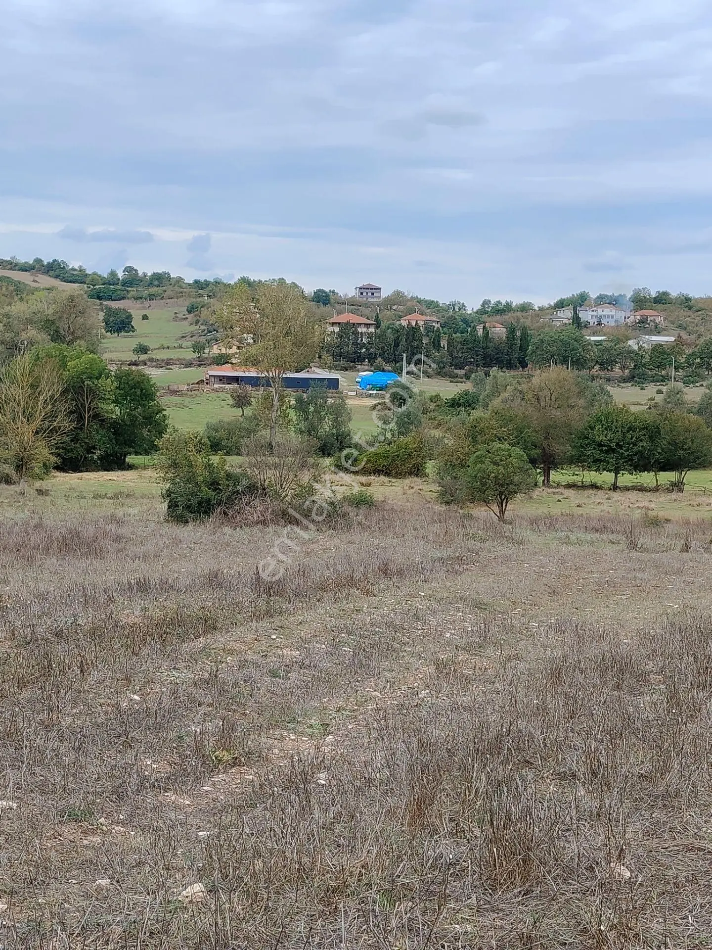 Kandıra Akdurak Koyunda Satilik Tarla — fotoğraf 14