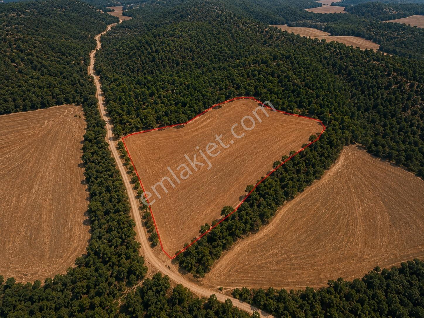 Çanakkale Lapseki'de Yatırım Fırsatı Satılık Tarla! — fotoğraf 2