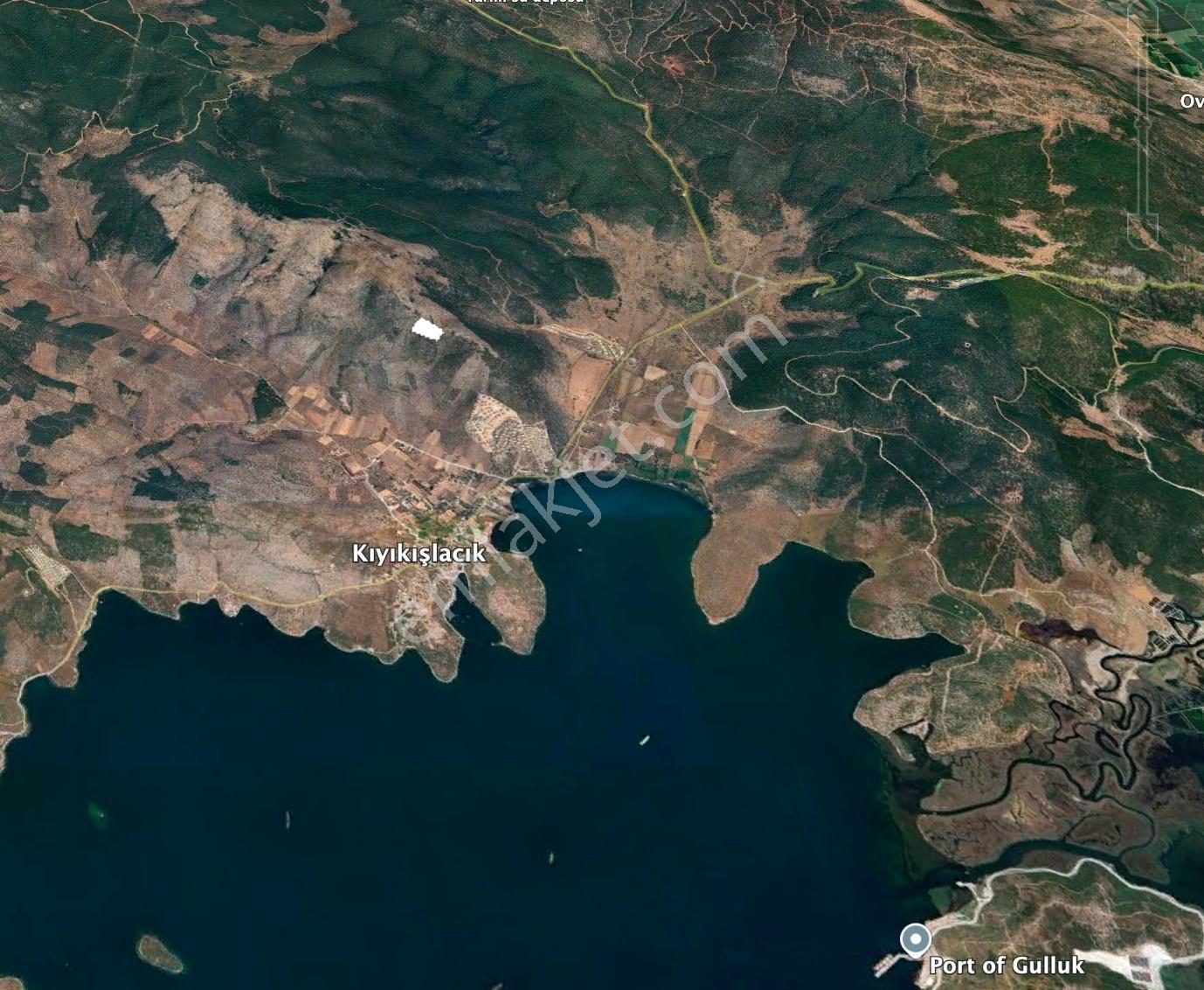 Milas Kıyıkışlacık Tek Tapu Körfez Manzaralı Zeytinlik