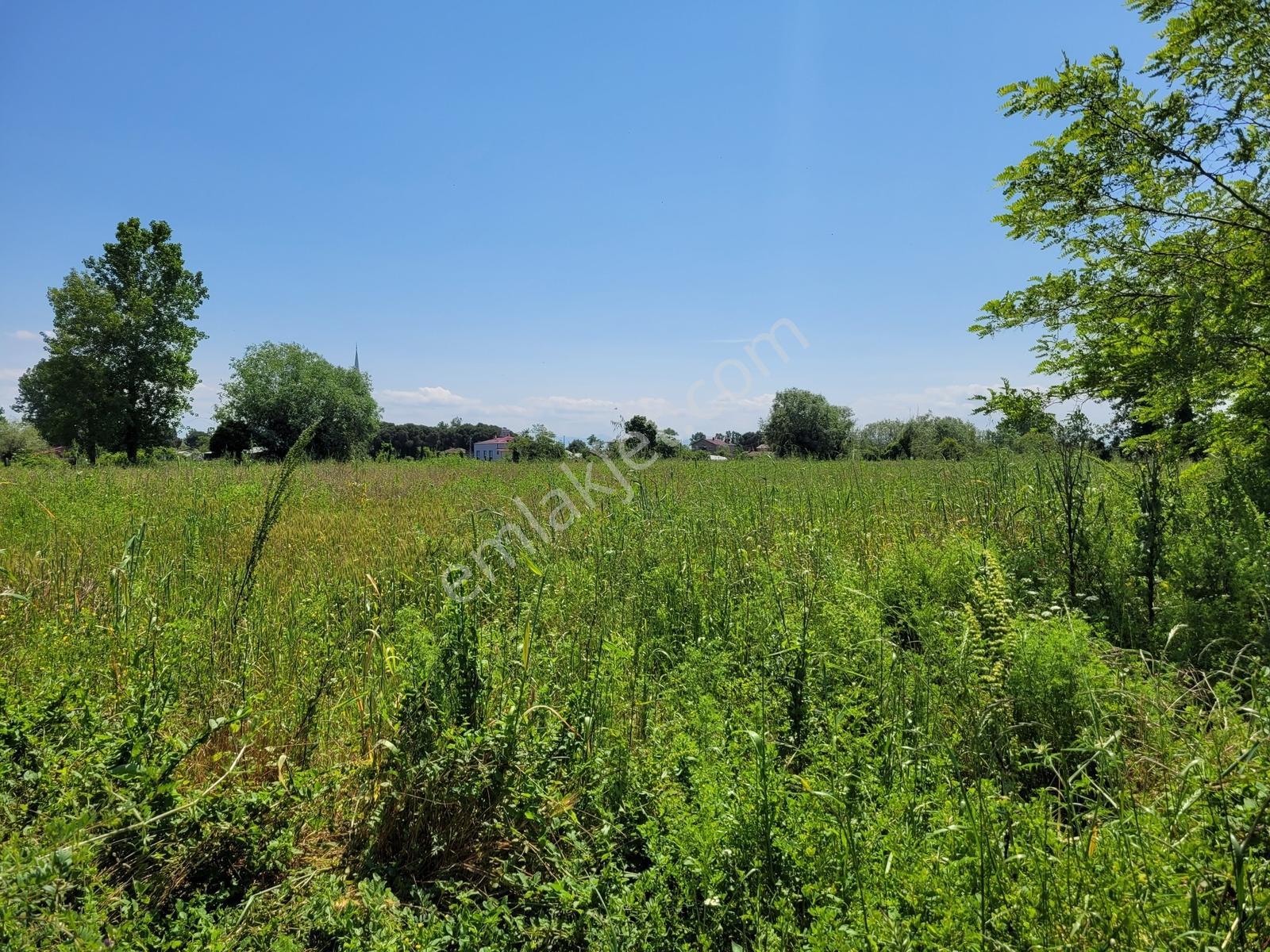 Çarşambada Sahile 2 Km | Villa Potansiyelli | 3 Yapı İmkânı
