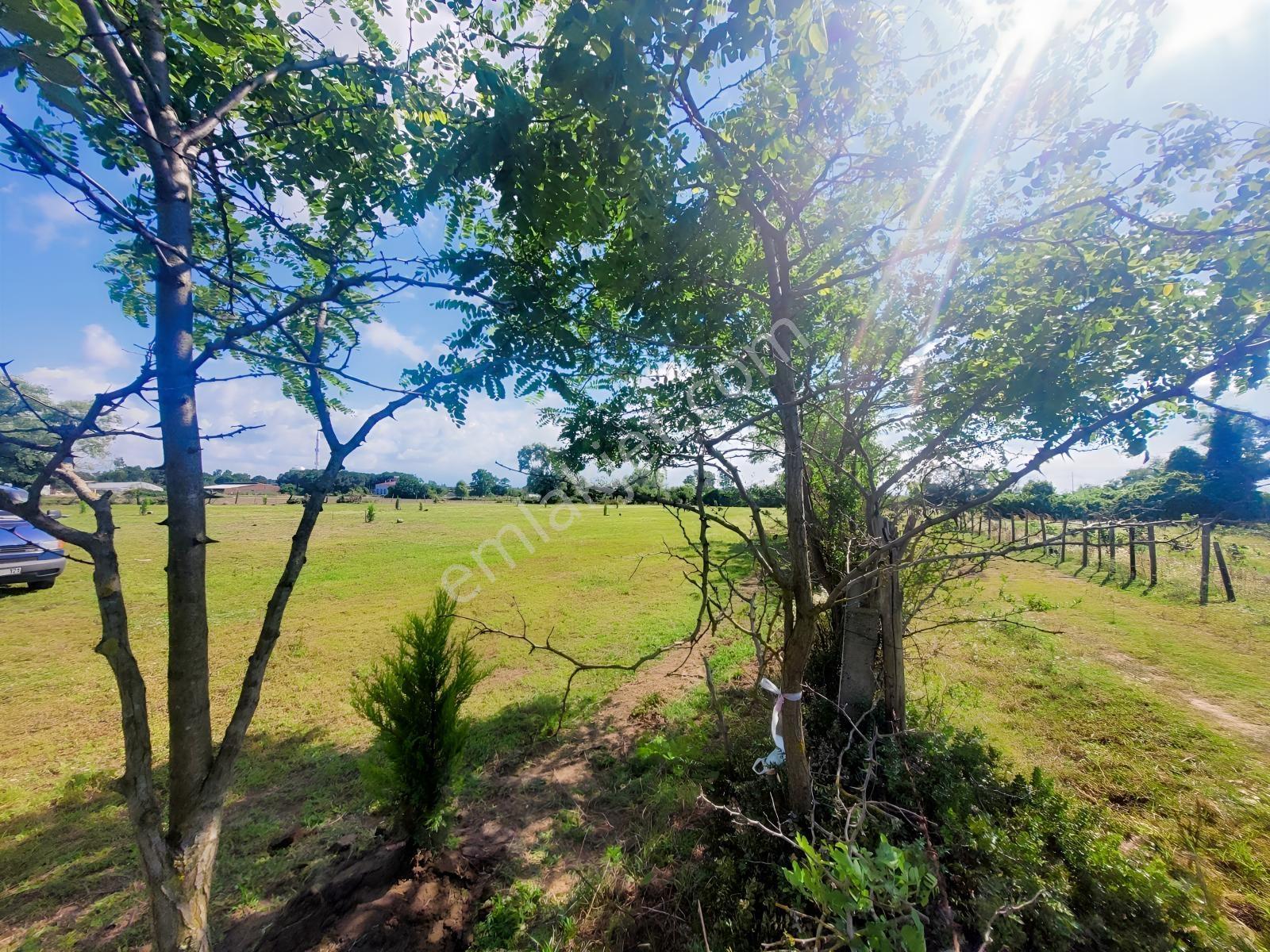 Çarşambada Sahile 2 Km | Villa Potansiyelli | 3 Yapı İmkânı — fotoğraf 15