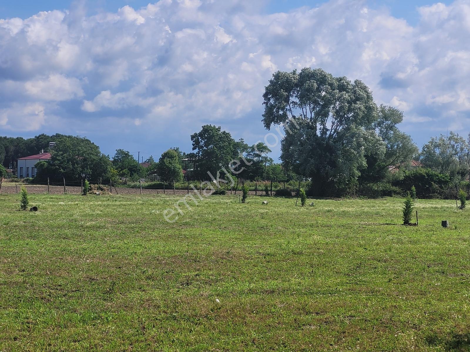 Çarşambada Sahile 2 Km | Villa Potansiyelli | 3 Yapı İmkânı — fotoğraf 18