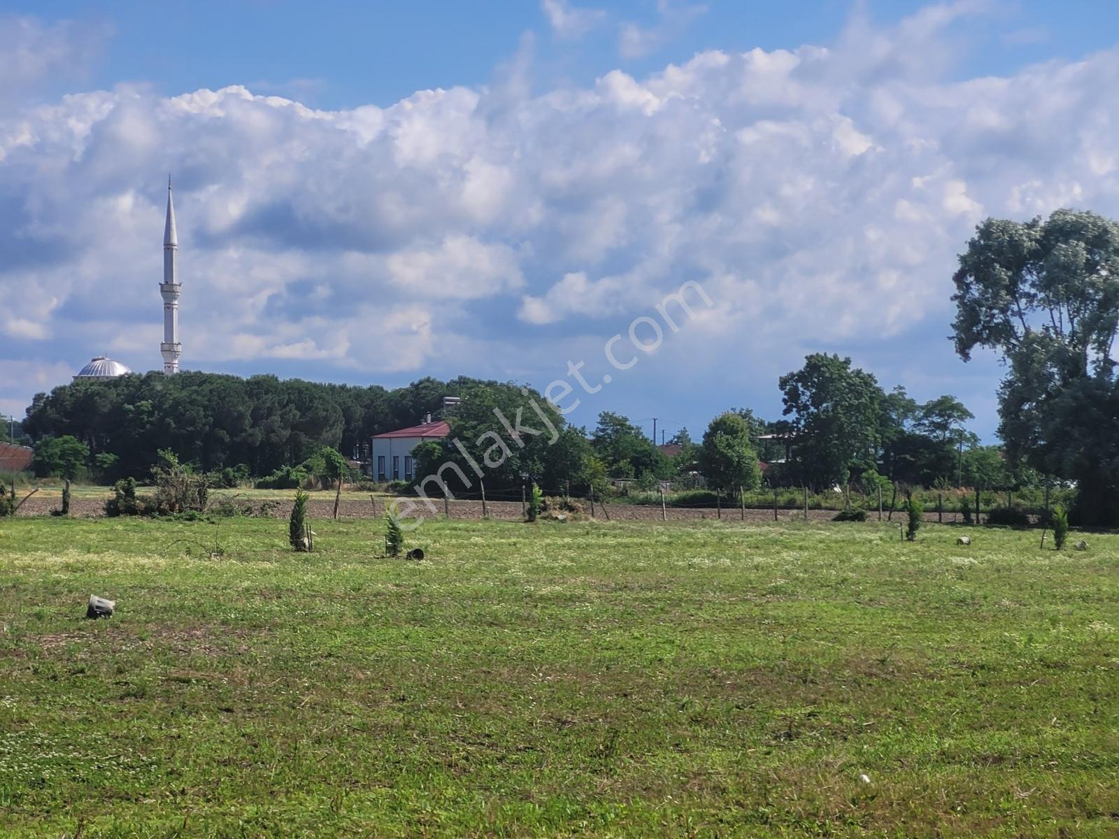 Çarşambada Sahile 2 Km | Villa Potansiyelli | 3 Yapı İmkânı — fotoğraf 19