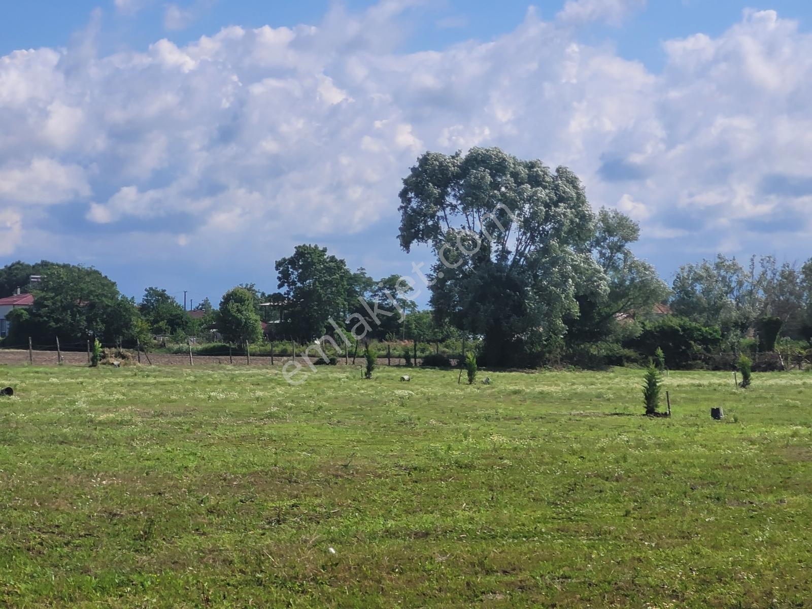 Çarşambada Sahile 2 Km | Villa Potansiyelli | 3 Yapı İmkânı — fotoğraf 20