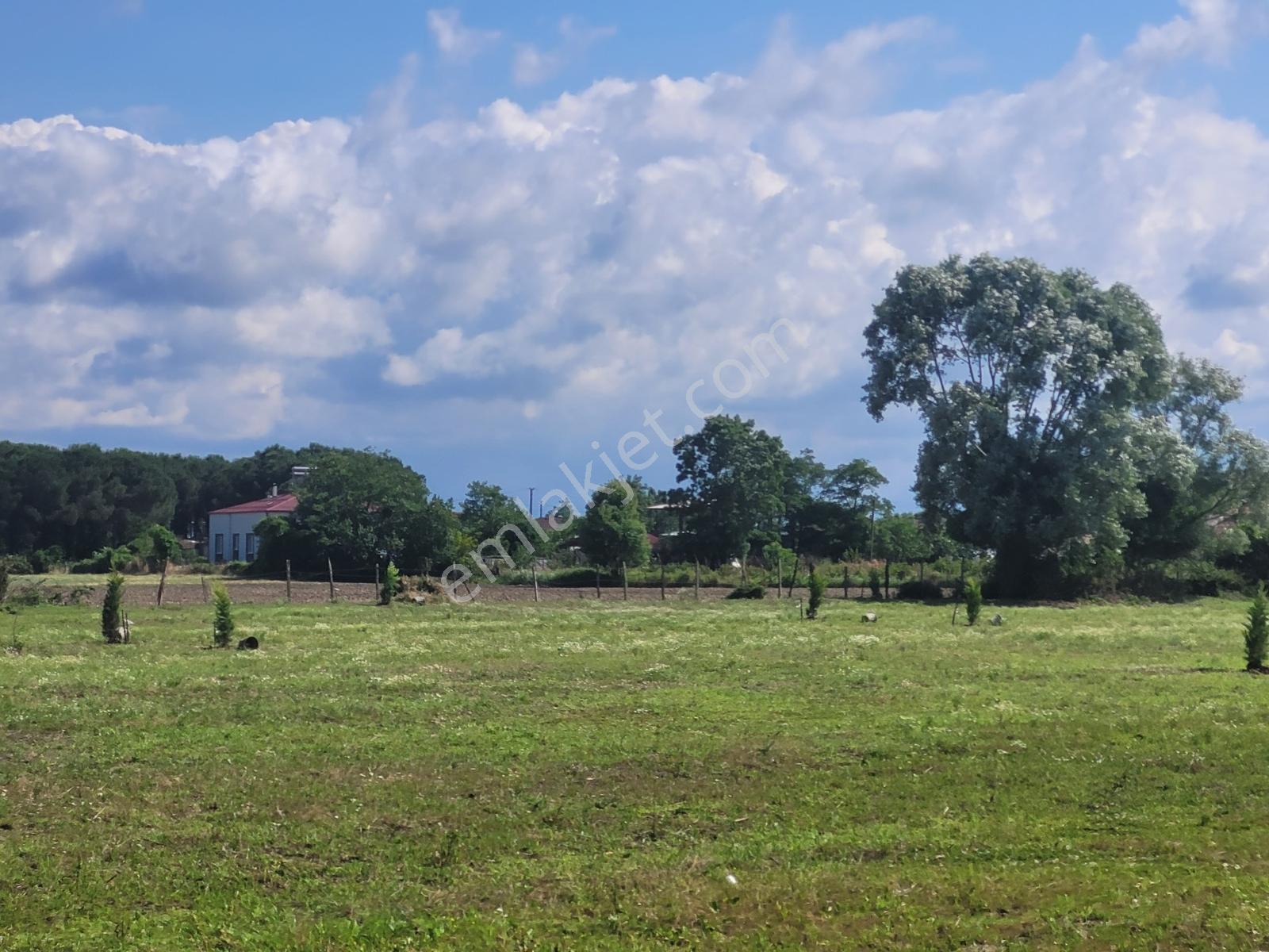 Çarşambada Sahile 2 Km | Villa Potansiyelli | 3 Yapı İmkânı — fotoğraf 21