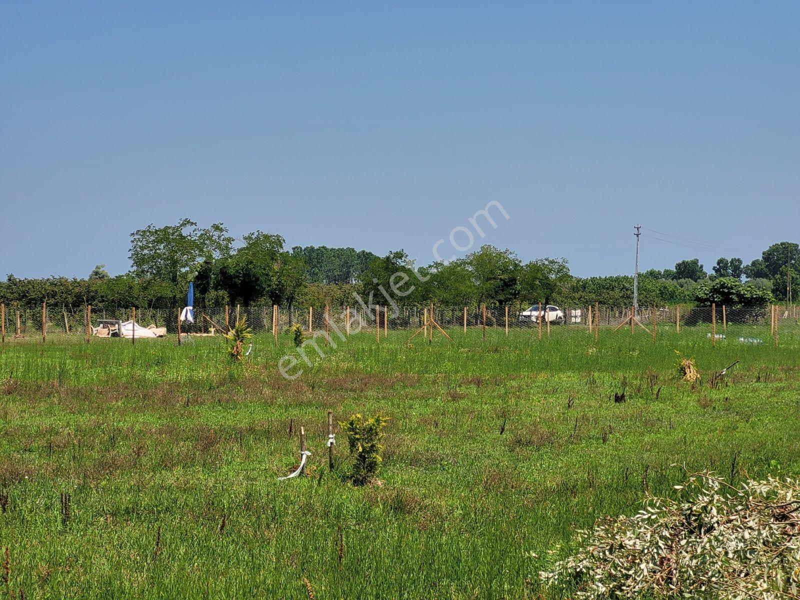 Çarşambada Sahile 2 Km | Villa Potansiyelli | 3 Yapı İmkânı — fotoğraf 24