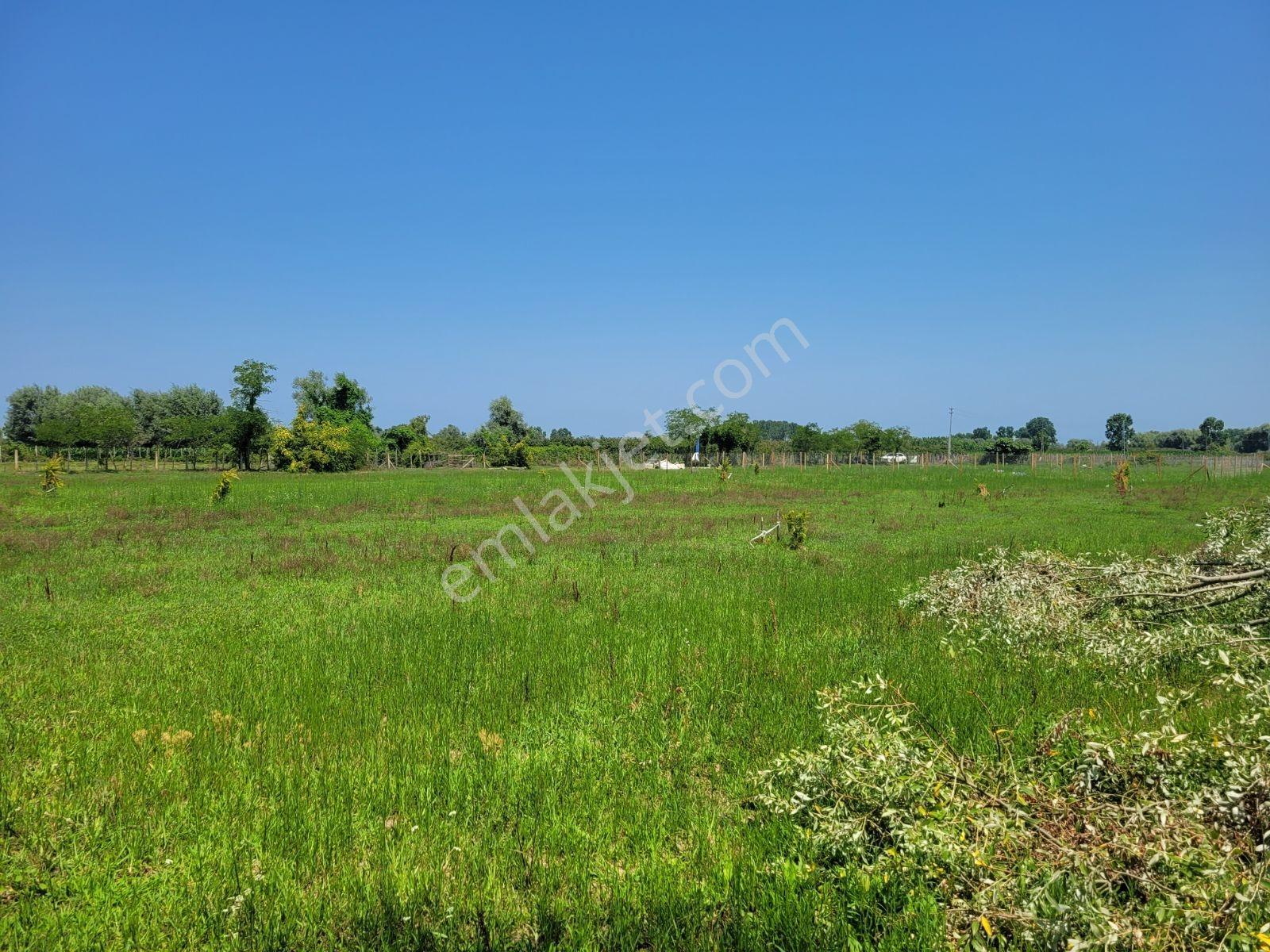 Çarşambada Sahile 2 Km | Villa Potansiyelli | 3 Yapı İmkânı — fotoğraf 25