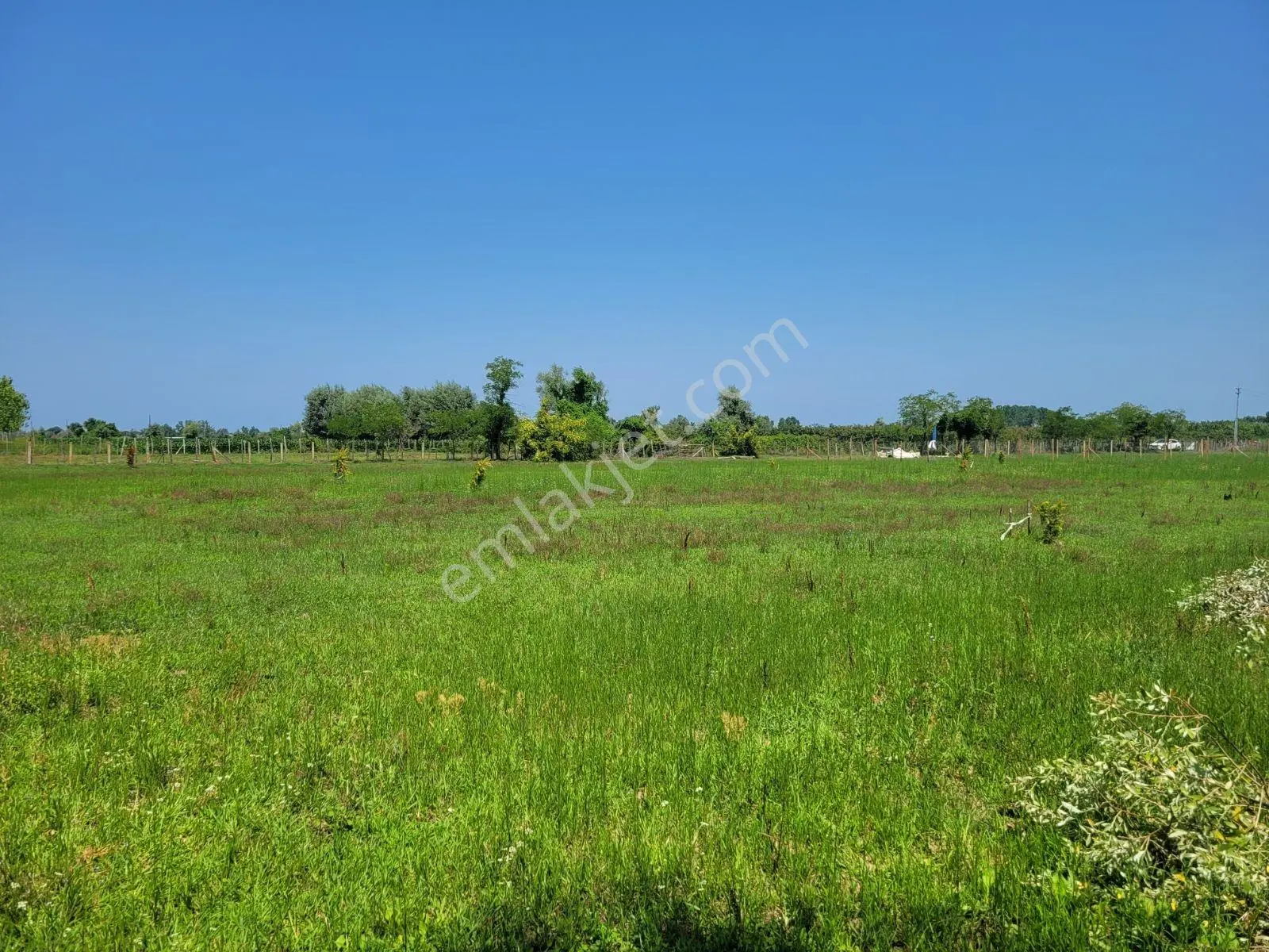 Çarşambada Sahile 2 Km | Villa Potansiyelli | 3 Yapı İmkânı — fotoğraf 26