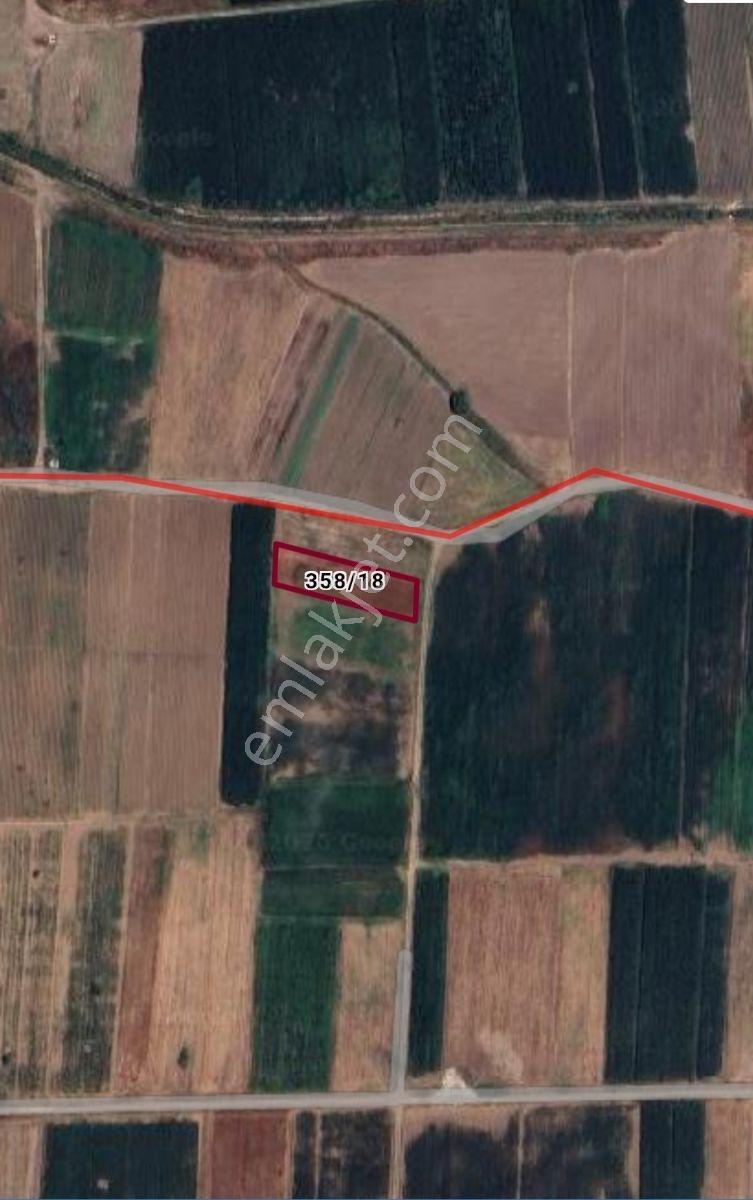Gökçeyazı Orta Mahallesi 1425 M2 Tarlası Satılıktır — fotoğraf 3