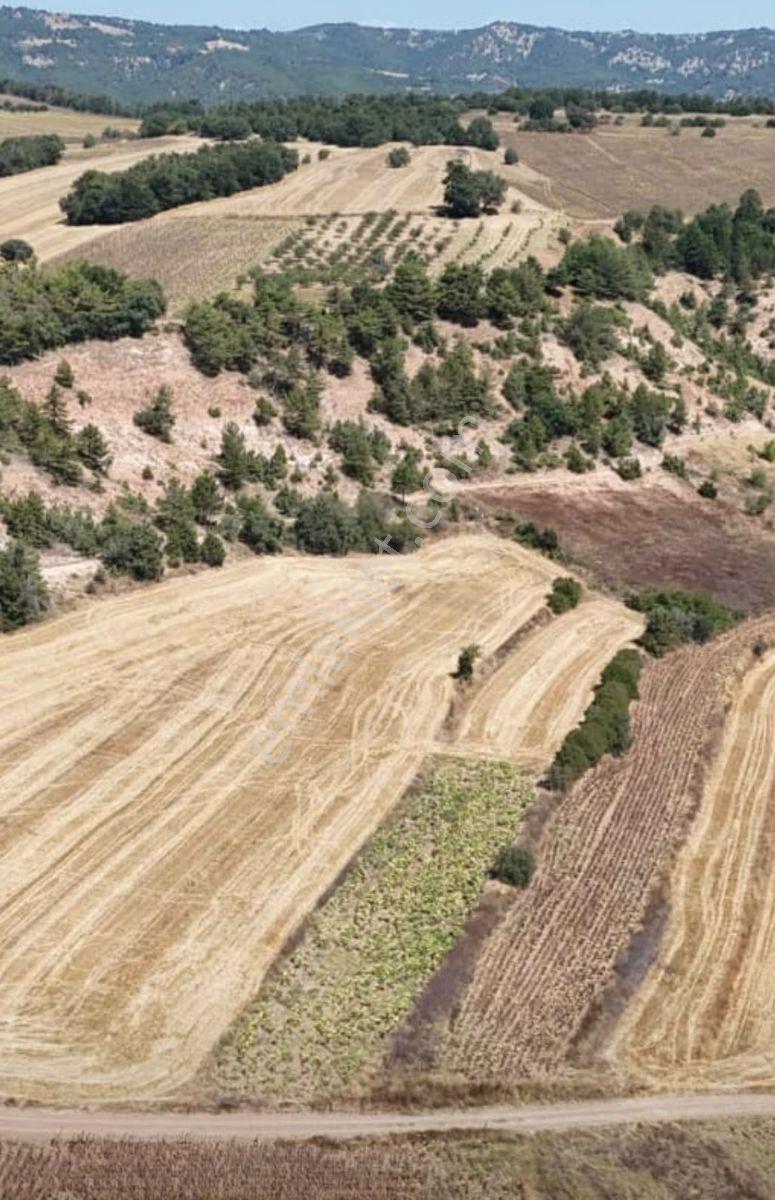 Bilecik Yenipazar Batıbelenörende 1.550 M² Satılık Tarla