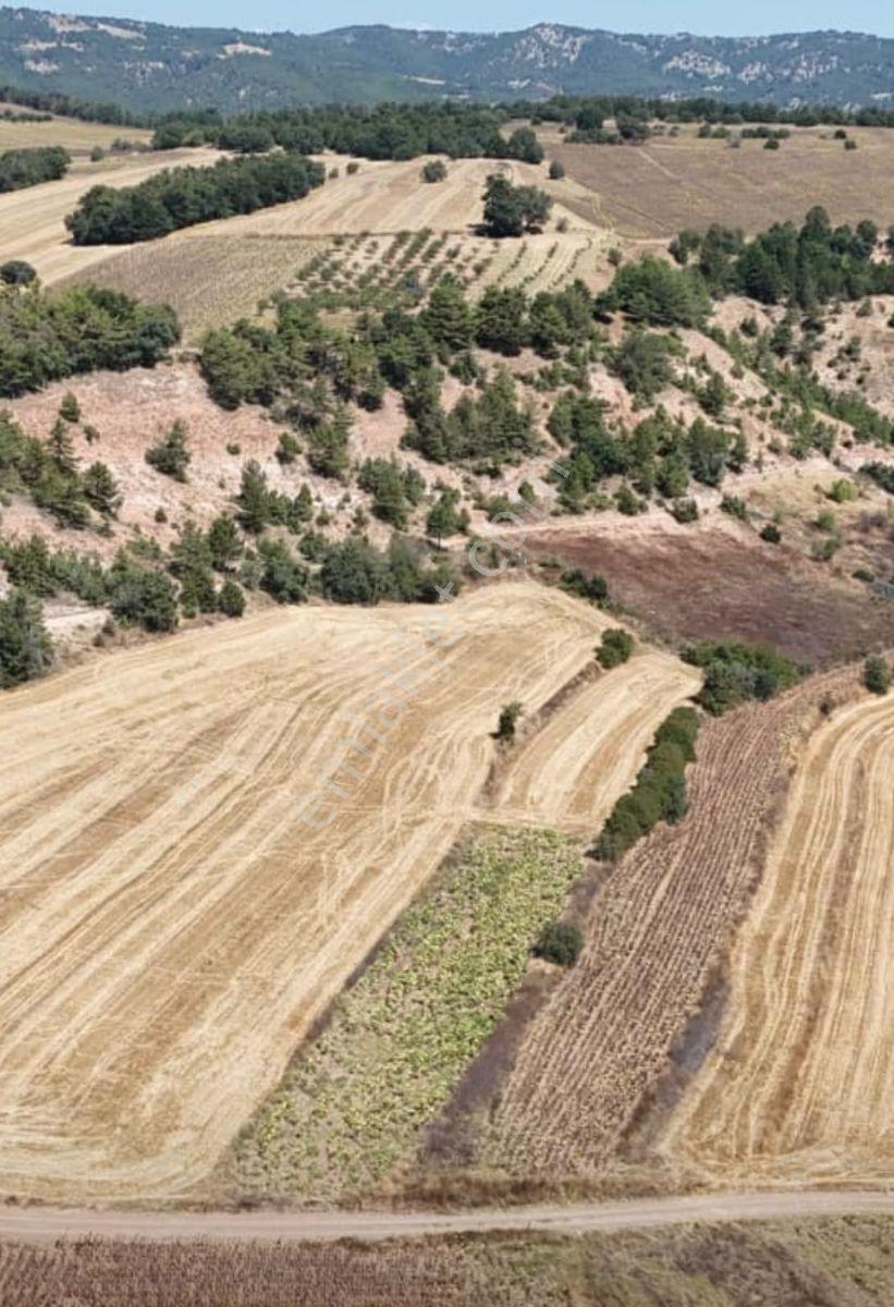 Bilecik Yenipazar Batıbelenörende 1.550 M² Satılık Tarla — fotoğraf 2