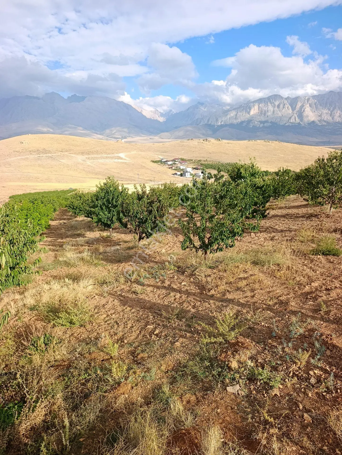 Burç'ta Yerleşime Yakın Kurulu Bahçe — fotoğraf 3